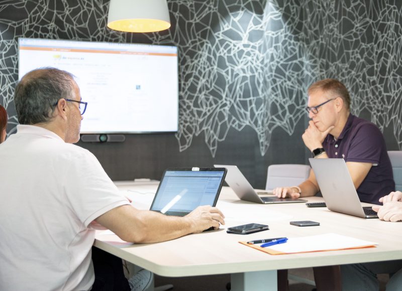 Team working session